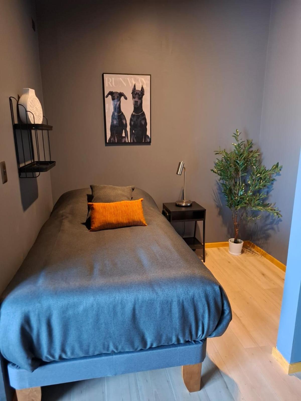 Hotel Boutique 501 洛斯安赫莱斯 外观 照片
